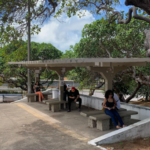 Captura de tela 2025-04-11 140337
