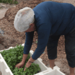 Captura de tela 2025-10-10 210630