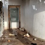 WhatsApp Image 2025-11-08 at 06.14.36