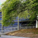 IMG-20260313-WA0041(1)